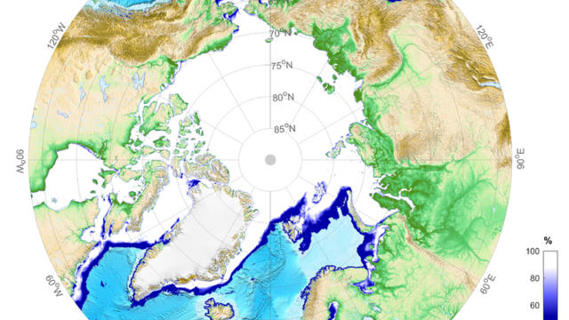 Mittlere Eiskonzentration in der Arktis im Februar 2019.