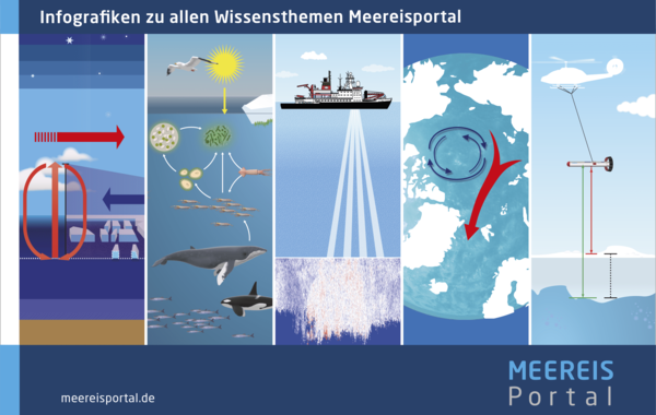 Infografiken zu allen Wissensthemen Meereisportal.