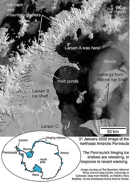 Larsen Ice Shelf 31 January 2022. 