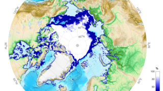 Mittlere Eiskonzentration in der Arktis im August 2018.