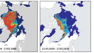Classification of sea-ice cover in the Arctic at the end of winter, according to ice age. 