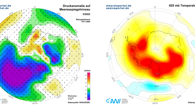  Anomalie des Luftdrucks auf Meeresspiegelniveau mit Windvektoren (links) und Temperaturanomalie in °C auf 925 hPa Druckniveau (rechts) im Mai 2022 in der Antarktis im Vergleich zum Langzeitmittel 1971-2000.