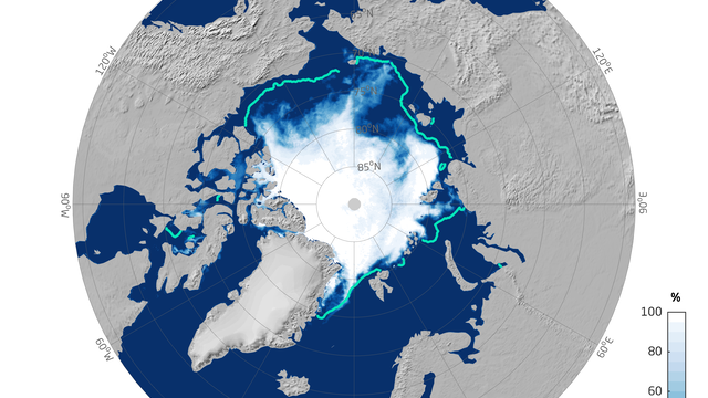 Mean August sea-ice extent in the Arctic.