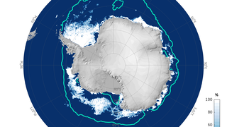Sea-ice concentration and extent in the Antarctic on 31 December 2022.