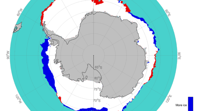 Difference in sea-ice concentration in June 2018, compared to the previous year.