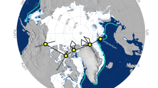 Sea-ice surveys and transits between stations during the IceBird Winter 2023 expedition overlaid on the ice extent on 19 April 2023.
