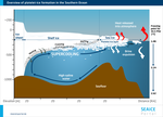Overview of platelet-ice formation in the Souther Ocean.