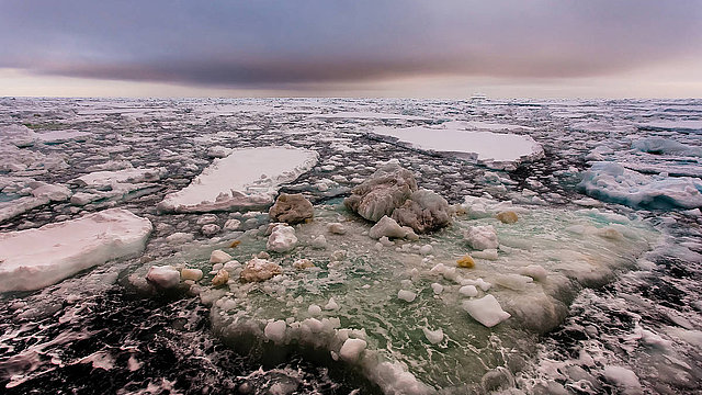 Grün bis braun statt weiß: eine von Eisalgen durchzogene Eisscholle in der Antarktis.
