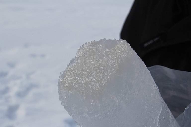 Sea-ice core gathered at a depth of 4.1 metres.