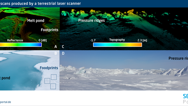 Surface scans produced by a terrestrial laser scanner.