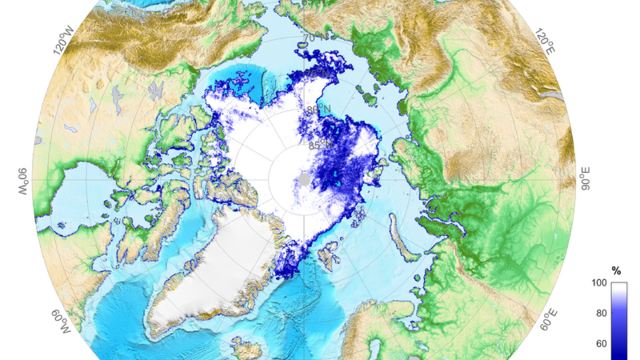 Sea-ice extent in the Arctic on 25 August.