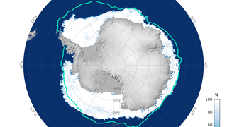Sea-ice concentration in the Antarctic on 21 May 2023.
