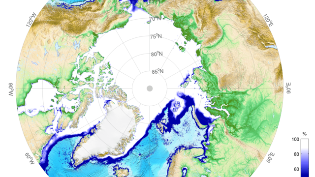Monatsmittelwert der Meereiskonzentration im Januar 2017 in der Arktis.