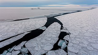 Panncake ice, which has formed bigger floes.