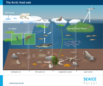 An overview of the Arctic food web with its three major habitats.