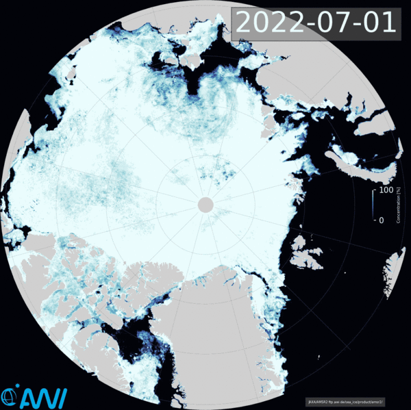 Animation of the observed sea-ice concentration from July to September 2022.