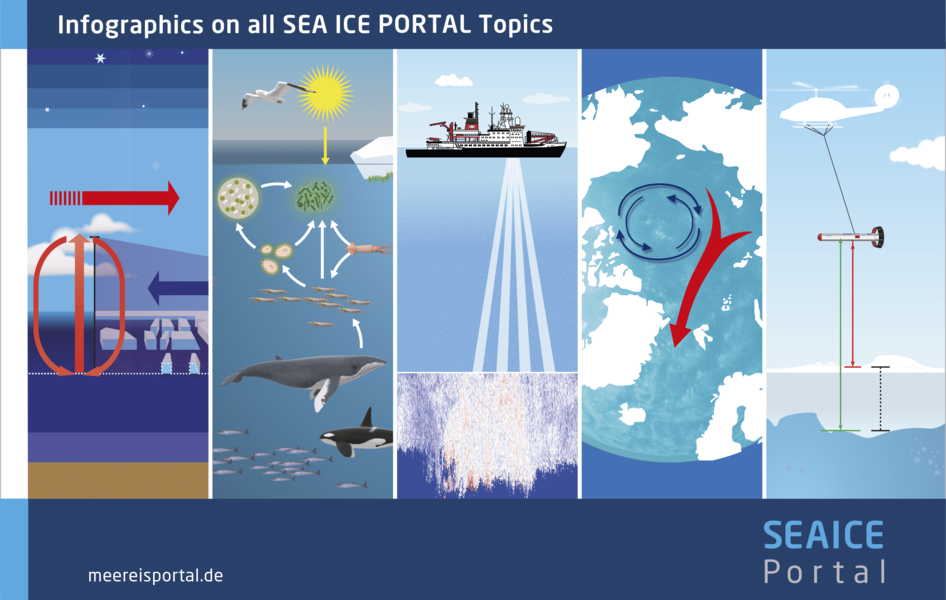 Overview infographics on all SEA ICE PORTAL topics.