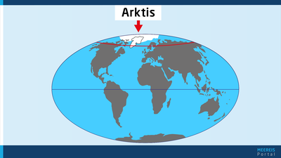 Illustration einer Weltkugel mit Pfeil auf Arktis