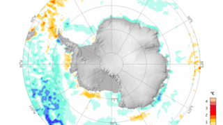 Anomalien der Meeresoberflächentemperatur in der Antarktis im Februar 2023 im Vergleich zum Langzeitmittel 1971 - 2000.