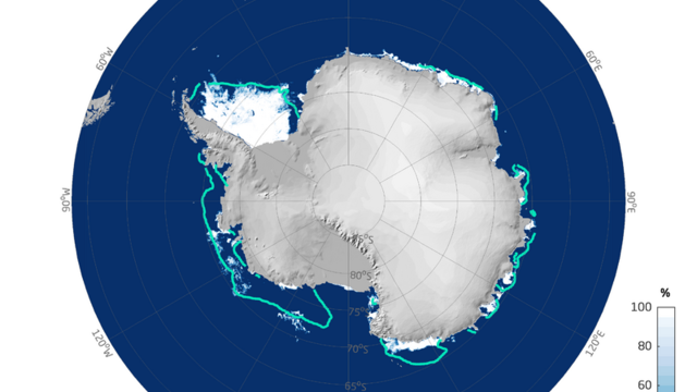 Antarctic sea-ice concentration on 19 February 2023. 