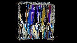 Thin section of sea ice under cross-polarized light. The ice sample was taken during the MOSAiC expedition. 