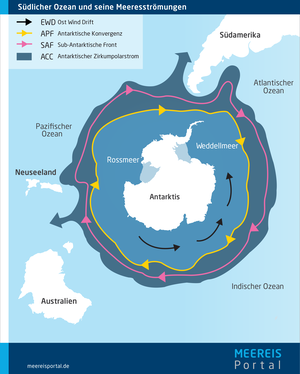 Der Südliche Ozean und seine Meeresströmungen um die Antarktis.