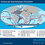 Schematische Darstellung der globalen thermohalinen Zirkulation. 