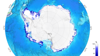 Meereiskonzentration in der Antarktis am 24. Januar 2019.