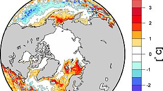Anomalie der Meeresoberflächentemperatur für Januar 2017.