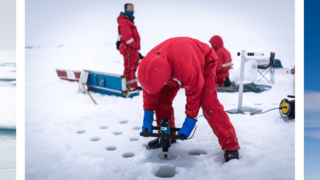 Ice probes taken on sea-ice. 