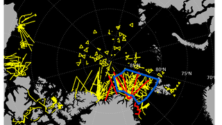 Karte der Flugzeugmessungen, die vom AWI in der Arktis seit den 1990er Jahren über dem Meereis durchgeführt wurden.