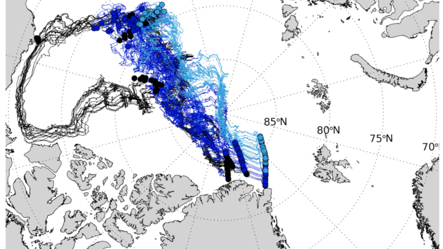 Drift (coloured lines) and provenance of the sea ice observed in Au-gust 2022. The trajectories’ colours indicate the respective age of the ice.
