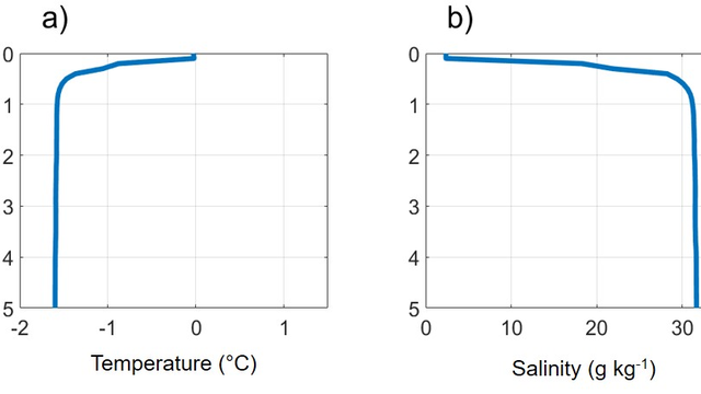 Vertical temperature (a) and salinity (b) profiles in the Central Arctic on 25 August 2020.