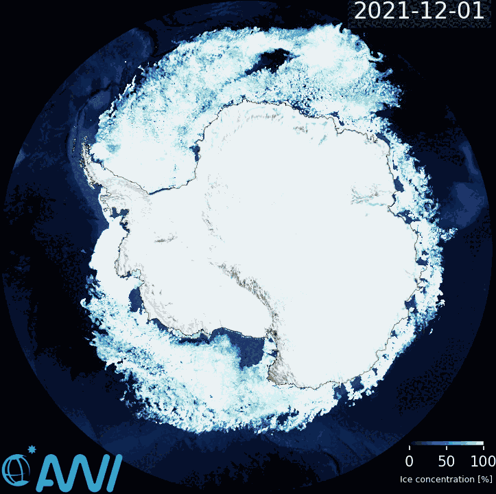 Animation der gemessenen Meereiskonzentration über den Zeitraum 1. Dezember 2021 bis Ende Februar 2022.