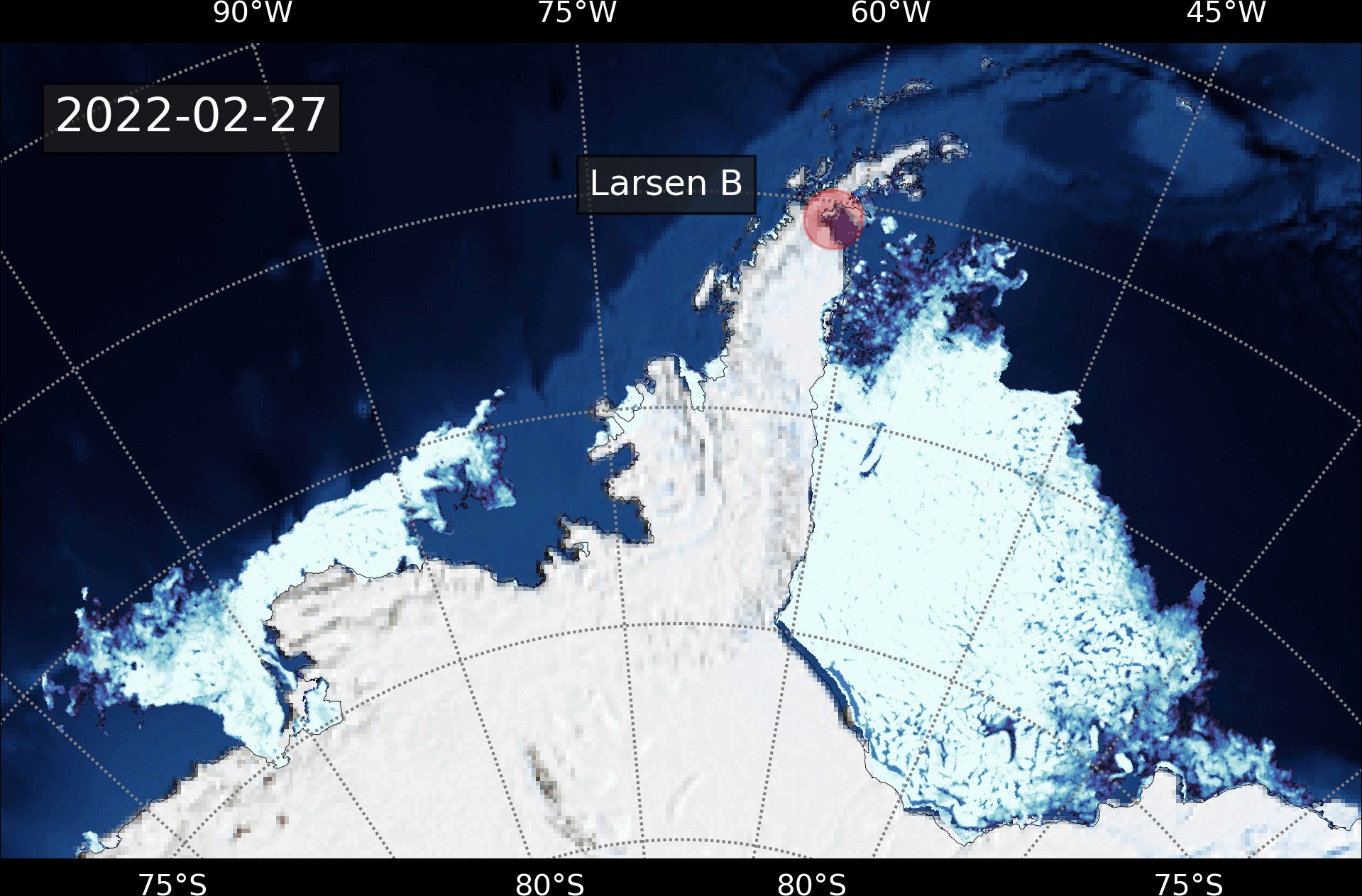 Animation of the observed sea-ice concentration on 27 February 2017.